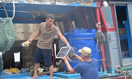 Quảng Ninh: Nhiều t&#224;u c&#225; cố t&#236;nh th&#225;o thiết bị gi&#225;m s&#225;t h&#224;nh tr&#236;nh để khai th&#225;c thủy sản tr&#225;i ph&#233;p