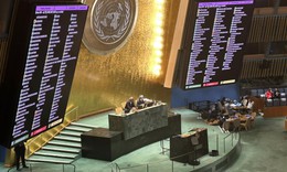 &#39;Tr&#225;i ngọt H&#224; Nội&#39; của niềm tin số