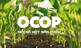 Tăng cường ch&#237;nh s&#225;ch hỗ trợ v&#224; th&#225;o gỡ vướng mắc trong triển khai OCOP