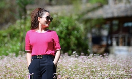 Đắm say mùa hoa tam giác mạch