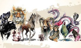 Tử vi tuần mới 12 con gi&#225;p 27/10 - 2/11: Dần biến động, M&#227;o sự nghiệp tăng mạnh