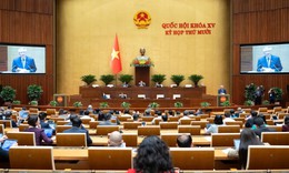 Đề xuất phạm nh&#226;n c&#243; quyền hiến bộ phận cơ thể, lưu trữ tinh tr&#249;ng