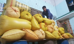 Người dân Đà Nẵng tất bật kê đồ, đóng bè tránh lũ
