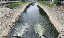 H&#224; Nội &#39;hồi sinh&#39; bốn d&#242;ng s&#244;ng nội đ&#244;