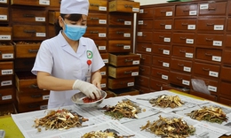 Ph&#225;t huy y học cổ truyền để n&#226;ng tầm c&#244;ng nghiệp dược Việt Nam