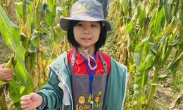 Học sinh đi tham quan, trải nghiệm: Cần lưu &#253; g&#236; để đảm bảo an to&#224;n?