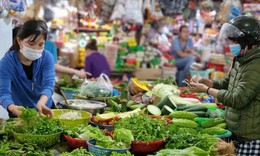 Rau xanh gi&#225; &#39;tr&#234;n trời’ sau mưa b&#227;o: Ăn tr&#225;i c&#226;y thay rau c&#243; được kh&#244;ng?