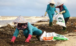 B&#227;i biển Nhật Lệ ngập r&#225;c sau mưa b&#227;o