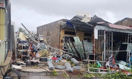 Video hướng dẫn ứng phó với lốc xoáy trước khi bão Matmo đổ bộ