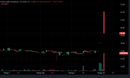 Cổ phiếu VMD của Vimedimex bất ngờ nằm sàn sau tin bị chuyển sang diện kiểm soát