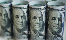 Tỷ gi&#225; h&#244;m nay 31/10: Gi&#225; USD tăng nhẹ