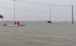 Kiểm tra hàng hóa sau lũ, 2 người bị điện giật