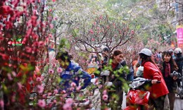 Chi tiết lịch nghỉ Tết Nguyên đán 2026 mới nhất