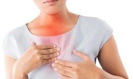 Ợ n&#243;ng, đắng miệng cẩn trọng với tr&#224;o ngược dịch mật