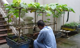 Rối loạn mất ngủ v&#224; c&#225;ch điều trị kh&#244;ng d&#249;ng thuốc: Hướng đi an to&#224;n cho giấc ngủ khỏe mạnh