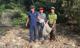 Trăn gấm quý hiếm vào vườn bắt gà, người dân giao nộp kiểm lâm thả về rừng