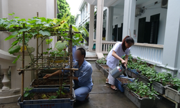 Phát hiện và điều trị rối loạn hoang tưởng: Cần sự kết hợp y tế và xã hội