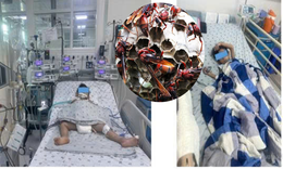 Chọc ong vò vẽ, một trẻ tử vong, một trẻ nguy kịch