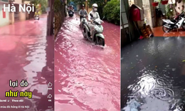 Chủ tịch H&#224; Nội y&#234;u cầu kiểm tra th&#244;ng tin nước m&#224;u đỏ lạ tr&#224;n v&#224;o nh&#224; d&#226;n