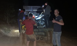 Giải cứu hai du kh&#225;ch H&#224; Lan gặp nạn giữa rừng trong đ&#234;m mưa