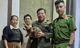 Ph&#225;t hiện lo&#224;i động vật qu&#253; hiếm trong S&#225;ch đỏ đi lạc giữa phố, người đ&#224;n &#244;ng b&#224;n giao cơ quan chức năng