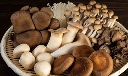 3 loại rau cần tr&#225;nh ở người tăng axit uric trong m&#249;a mưa