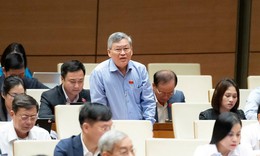 ĐBQH đề nghị phụ nữ sinh đủ 2 con, kh&#244;ng giới hạn độ tuổi đều được hưởng ch&#237;nh s&#225;ch d&#226;n số