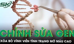 Đột ph&#225; mới c&#244;ng nghệ chỉnh sửa gen mở ra hy vọng x&#243;a bỏ vĩnh viễn t&#236;nh trạng mỡ m&#225;u cao