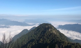 Mở tuyến du lịch mạo hiểm &#39;Chinh phục đỉnh P&#249; Lu&#244;ng&#39; săn m&#226;y ở độ cao 1.700m