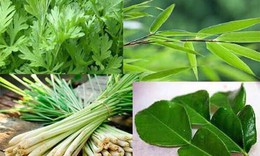 C&#225;c phương ph&#225;p y học cổ truyền gi&#250;p ph&#242;ng chống c&#250;m A