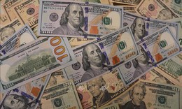 Đồng USD đứng vững, đợi dữ liệu kinh tế Mỹ v&#224; quyết định của Fed