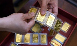 Gi&#225; v&#224;ng ng&#224;y 15/11 tiếp đ&#224; giảm rất mạnh