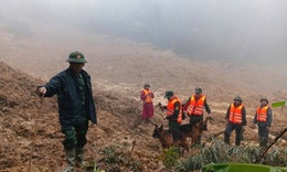 Đội mưa, lội b&#249;n t&#236;m 3 người mất t&#237;ch trong vụ sạt lở kinh ho&#224;ng ở v&#249;ng cao Đ&#224; Nẵng