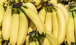 Điều g&#236; xảy ra khi ăn chuối l&#250;c bụng đ&#243;i?