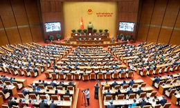 Tr&#236;nh Quốc hội cơ chế, ch&#237;nh s&#225;ch triển khai Nghị quyết 72 của Bộ Ch&#237;nh trị