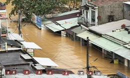 Người d&#226;n Đ&#224; Nẵng lại tất tả chạy lũ lần 5