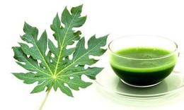 Ăn l&#225; đu đủ c&#243; t&#225;c dụng g&#236;?