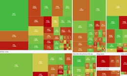 Xu hướng chứng kho&#225;n 19/11, tăng mua cổ phiếu