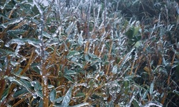 V&#249;ng n&#250;i ph&#237;a Bắc xuất hiện băng gi&#225;