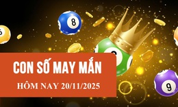 Con số may mắn h&#244;m nay 20/11 - số t&#224;i lộc 12 con gi&#225;p theo năm sinh
