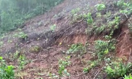 Đỉnh đồi ở Huế xuất hiện vết nứt hở hơn 1m