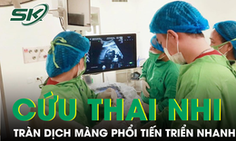Nỗ lực ph&#250;t cuối cứu thai nhi 25 tuần tuổi tr&#224;n dịch m&#224;ng phổi tiến triển nhanh