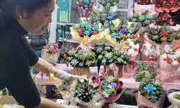 Loại c&#226;y cảnh b&#225;n chạy gi&#225; từ 80.000 đồng được phụ huynh v&#224; học sinh săn l&#249;ng để l&#224;m qu&#224; tặng thầy c&#244;