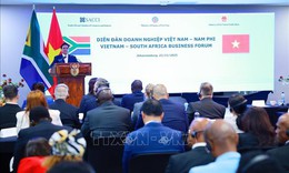 Thủ tướng Phạm Minh Ch&#237;nh dự Diễn đ&#224;n doanh nghiệp Việt Nam - Nam Phi