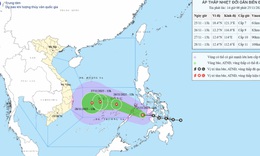 &#193;p thấp nhiệt đới sẽ mạnh l&#234;n th&#224;nh b&#227;o tr&#234;n Biển Đ&#244;ng v&#224;o đ&#234;m nay