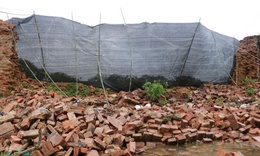 Th&#225;ch thức bảo tồn di sản trước thi&#234;n tai từ vụ sập tường Ho&#224;ng th&#224;nh Huế