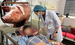 Lợn cắn v&#224;o gối, b&#233; trai nhiễm khuẩn huyết, tổn thương xương