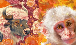 Tử vi 12 con gi&#225;p h&#244;m nay 26/11: Th&#236;n mệt mỏi, Ngọ gặp nhiều thuận lợi