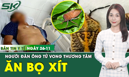 Bản tin Y tế 26/11: Bệnh nh&#226;n ngộ độc do ăn bọ x&#237;t tại Gia Lai đ&#227; tử vong