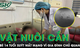 B&#233; trai 14 tuổi su&#253;t mất mạng v&#236; gia đ&#236;nh chủ quan với vết cắn của vật nu&#244;i 